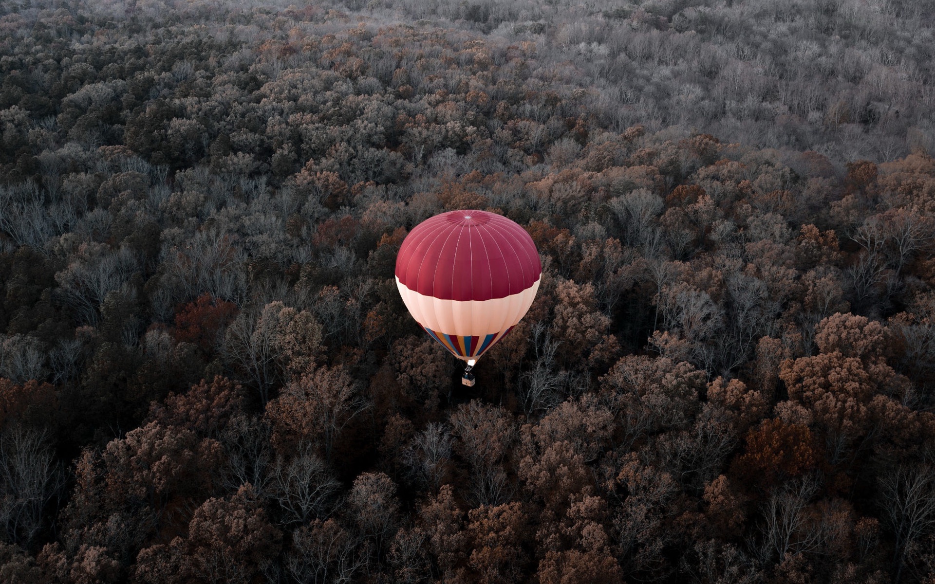 A single hot air balloon over an autumn forest, seen from above