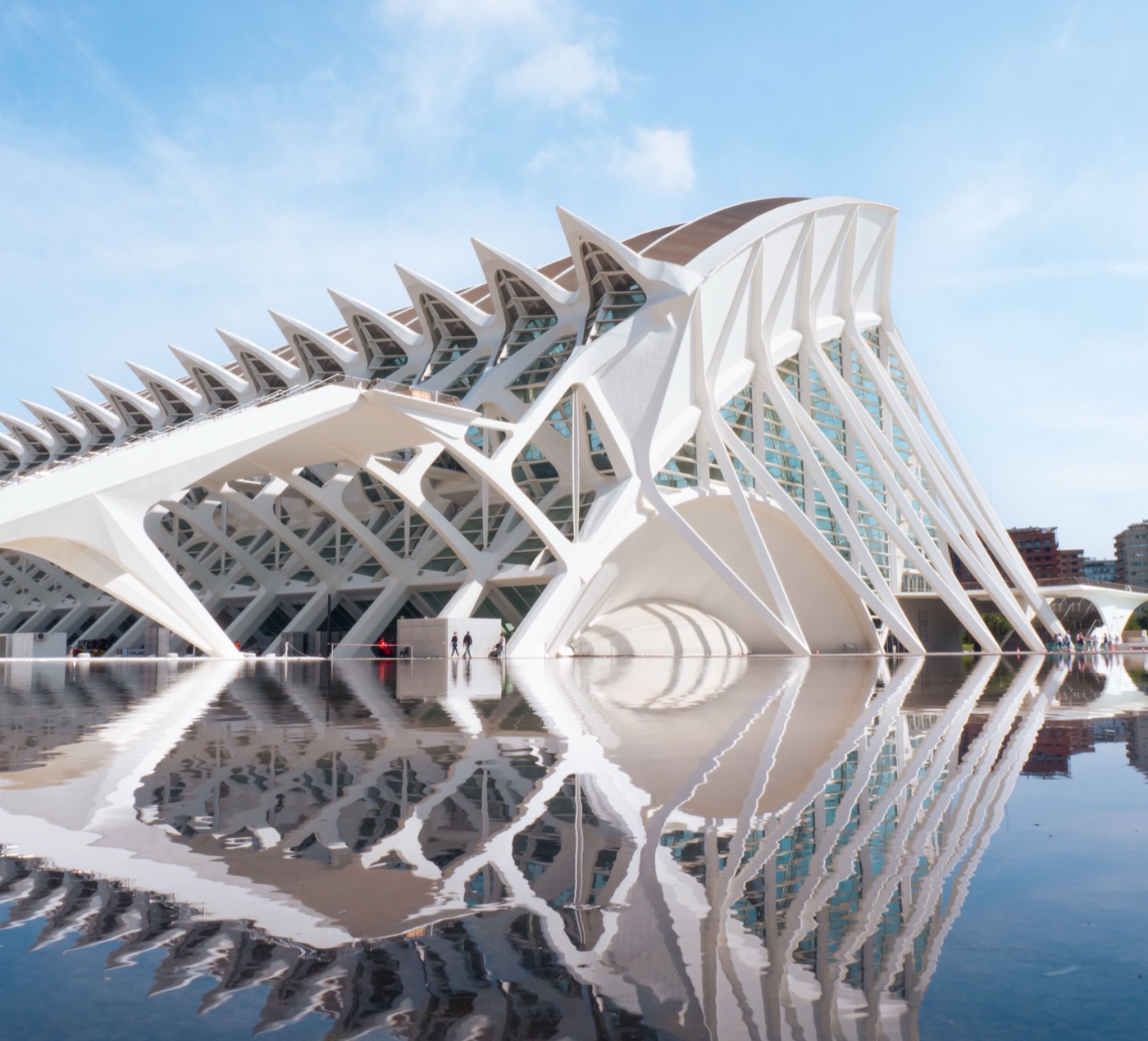 A reflecting pool beneath the ribbed white arches of a modern museum building